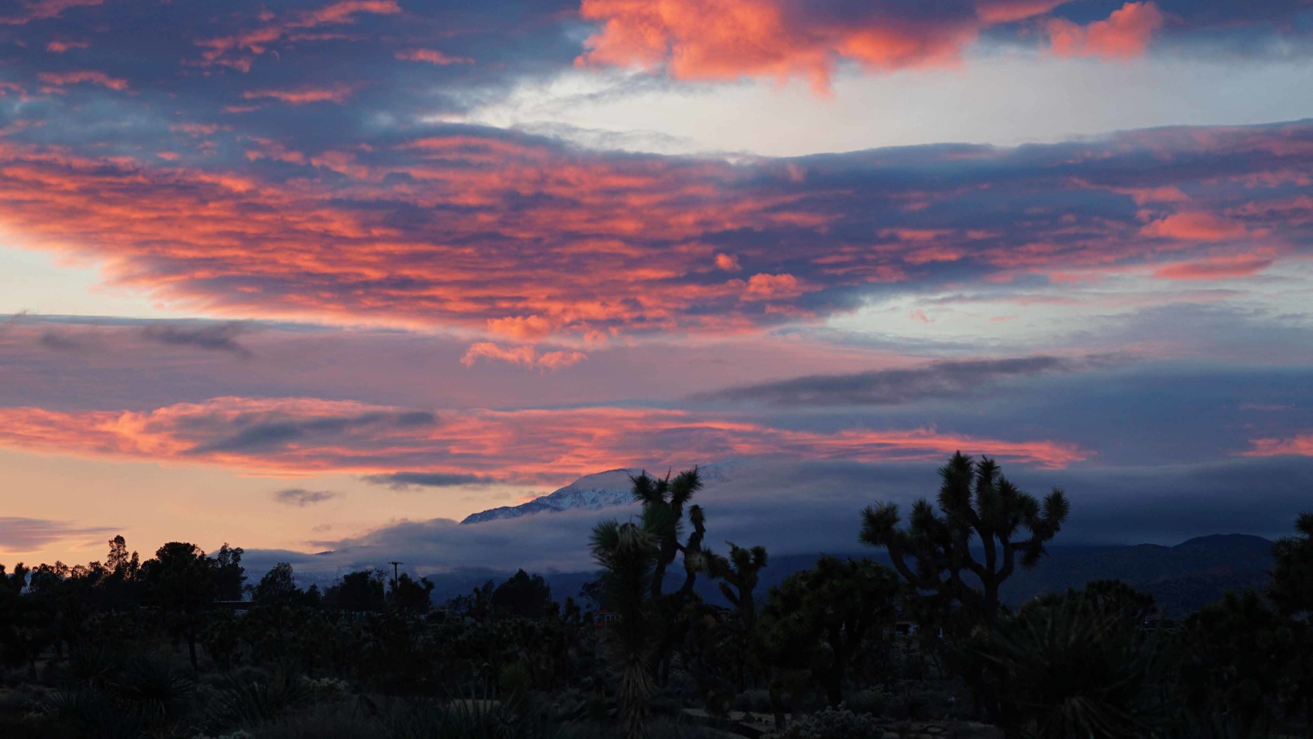 Serene sunset in Joshua Tree, California, with vibrant pink and blue clouds capping the sky. A mountain in the distance conveys a sense of deep calm and serenity—reflective of the sensations that acupuncture treatments provide.