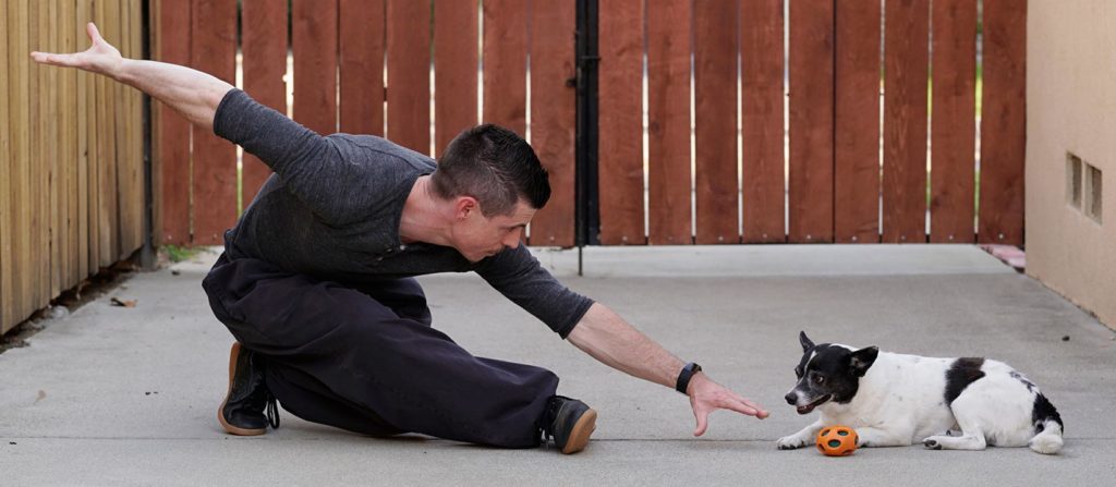 Matthew practicing Tai Chi Qigong stances with his dog by his side.